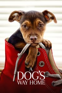 Poster for A Dog’s Way Home